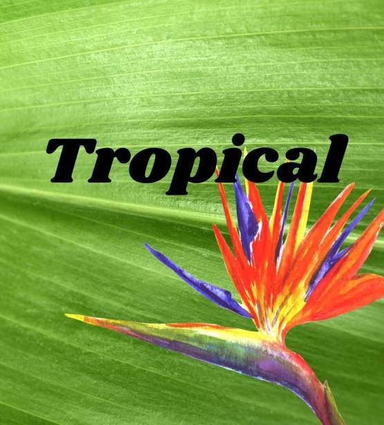 Tropical