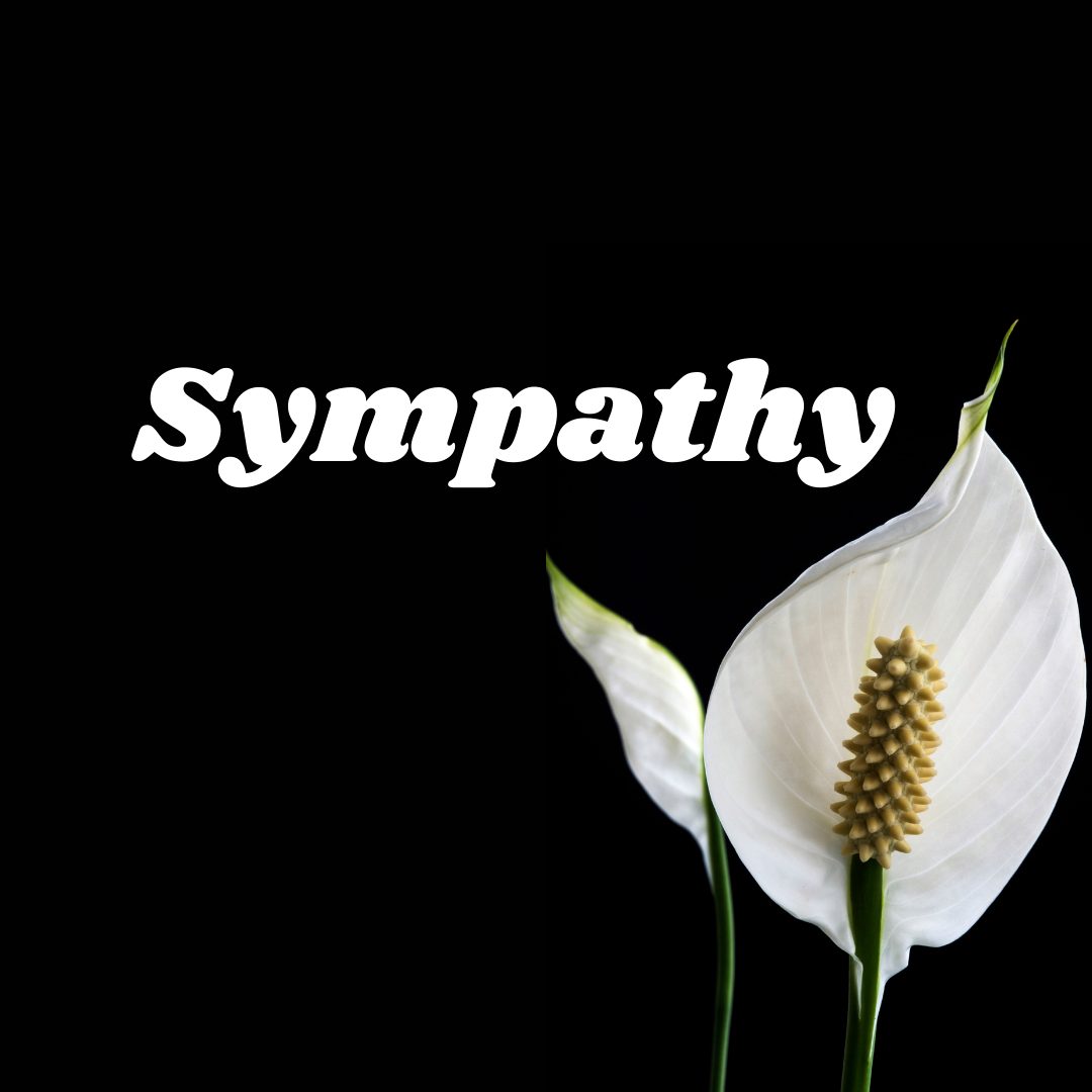 sympathy